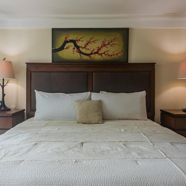 Lotus - 3 BDR Penthouse in the middle of town! - Apartamento de 3 dormitorios - 15