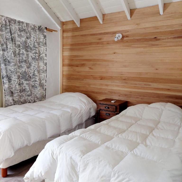 Casa Tenis Hotel & Club - Habitación Doble Estándar - 1 o 2 camas - 5