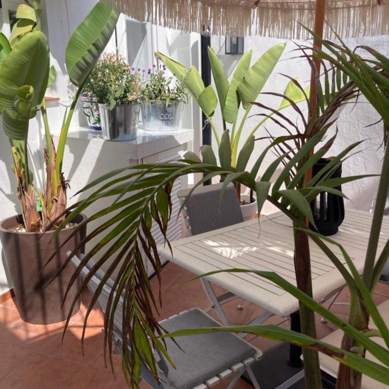 Casa Mia Central Estepona Old Town Cozy House 3 bedrooms - Casa de 2 dormitorios - 2