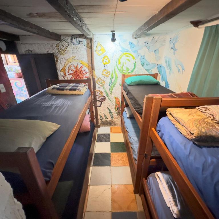 Viejo Lobo - Single Bed in Mixed Dormitory Room - 4