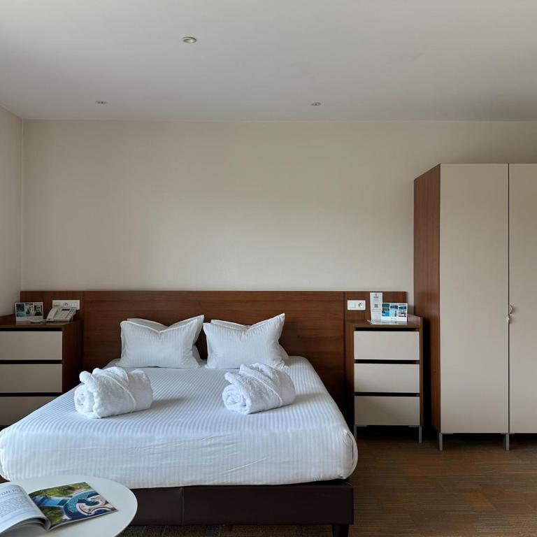 Hôtel Lyon Métropole & Spa - Chambre Studio - Accès Spa et Piscine Non Inclus - 5