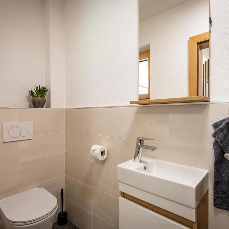 Apart Theresa - Apartment mit 1 Schlafzimmer und Dusche - 12