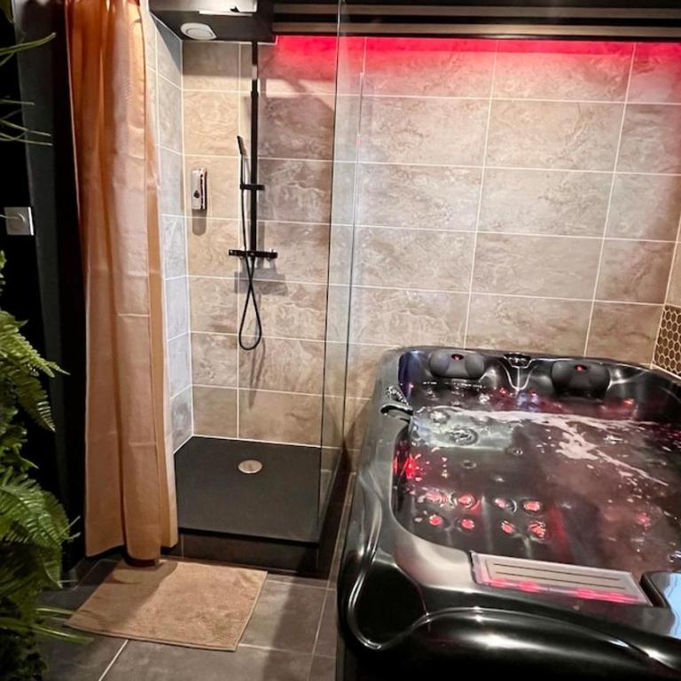 Secret SPA Jacuzzi & Cinema - Apartamento de 1 dormitorio - 16