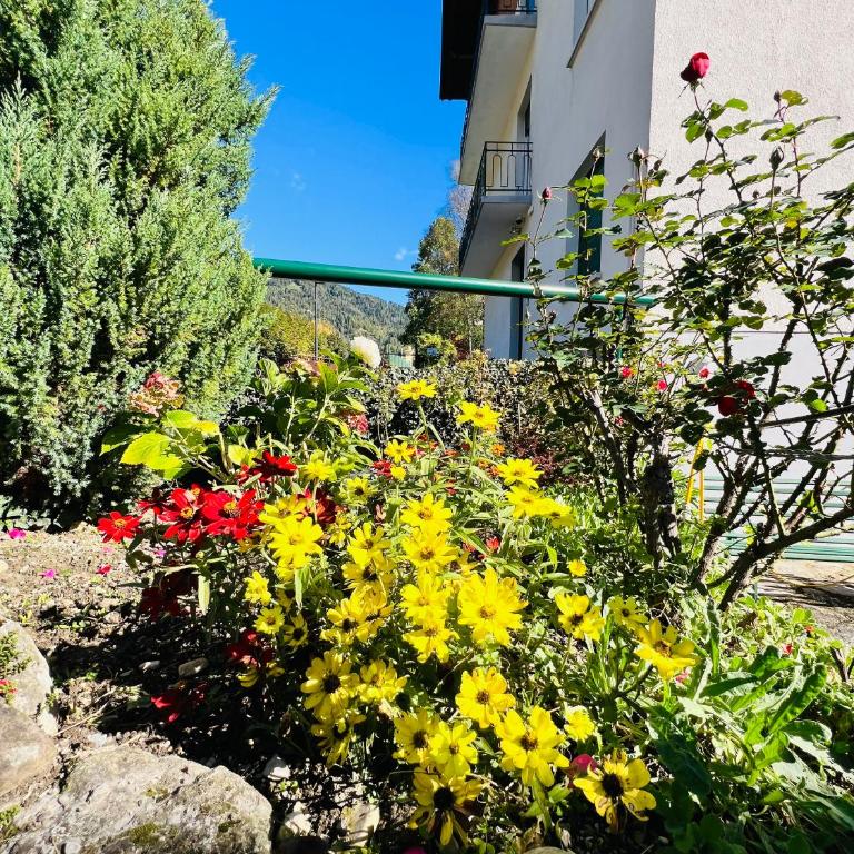 Appartamento Margherita - Apartment mit 1 Schlafzimmer - 2