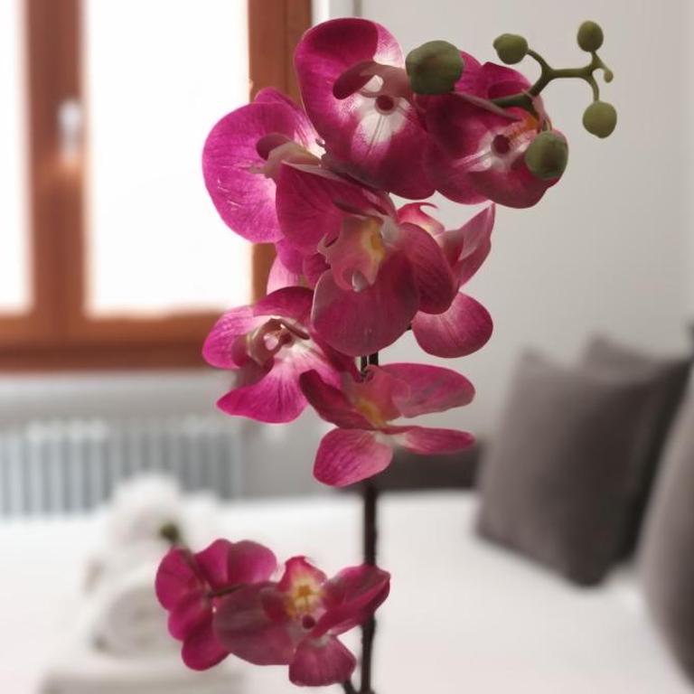 Leila's Two Double Bedroom Apartment Roma Colosseo - Appartamento con 2 Camere da Letto - 34