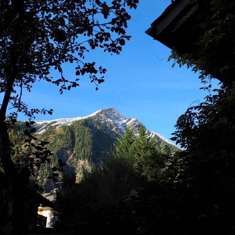 Courmayeur Cozy Nest - Appartamento con 1 Camera da Letto - 1