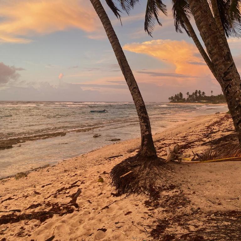 Savannah Inn - Villa de 2 dormitorios - 26