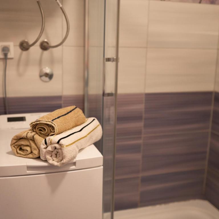 ViLena Apartmani - Studio Apartman - 13