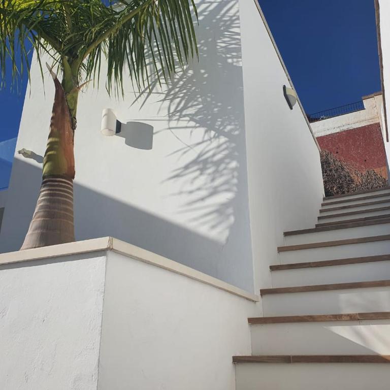 villa Jaz - Villa - 56