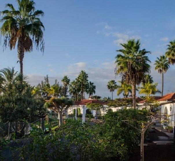 Bungalow Golf Splash Park - Casa con 1 dormitorio - 22