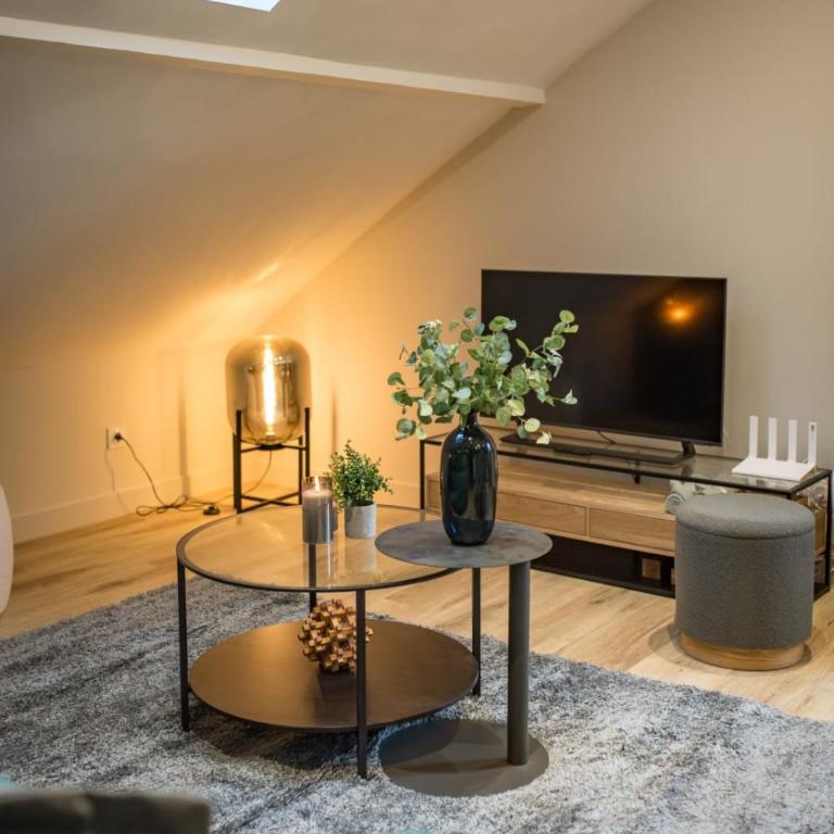 Ski & vélo légendaires - Vacances 4-6 pers - Appartement - 13