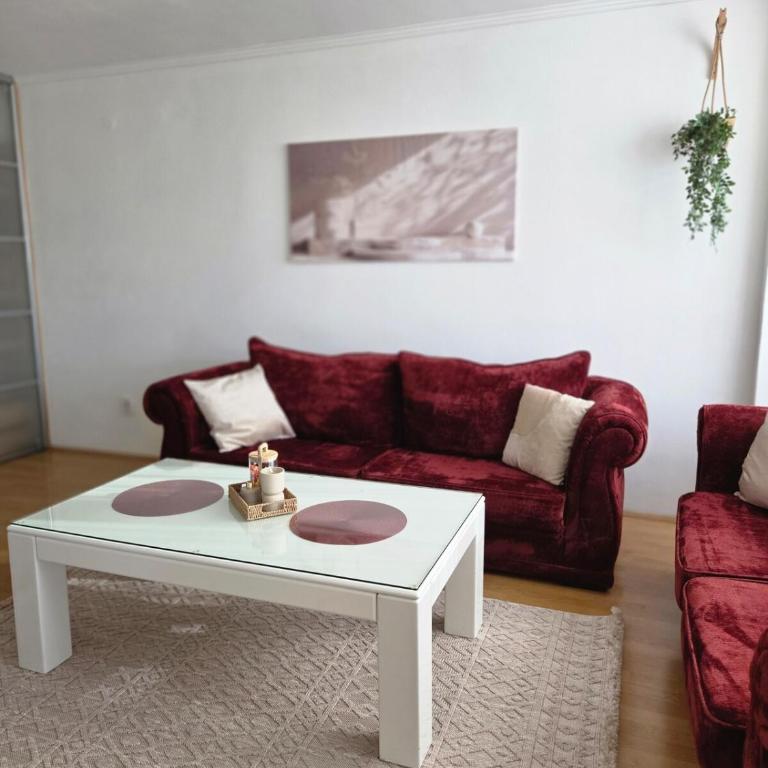 Apartment Kolodvor - Apartment - 10