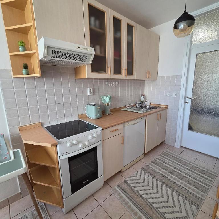 Apartment Kolodvor - Apartment - 25