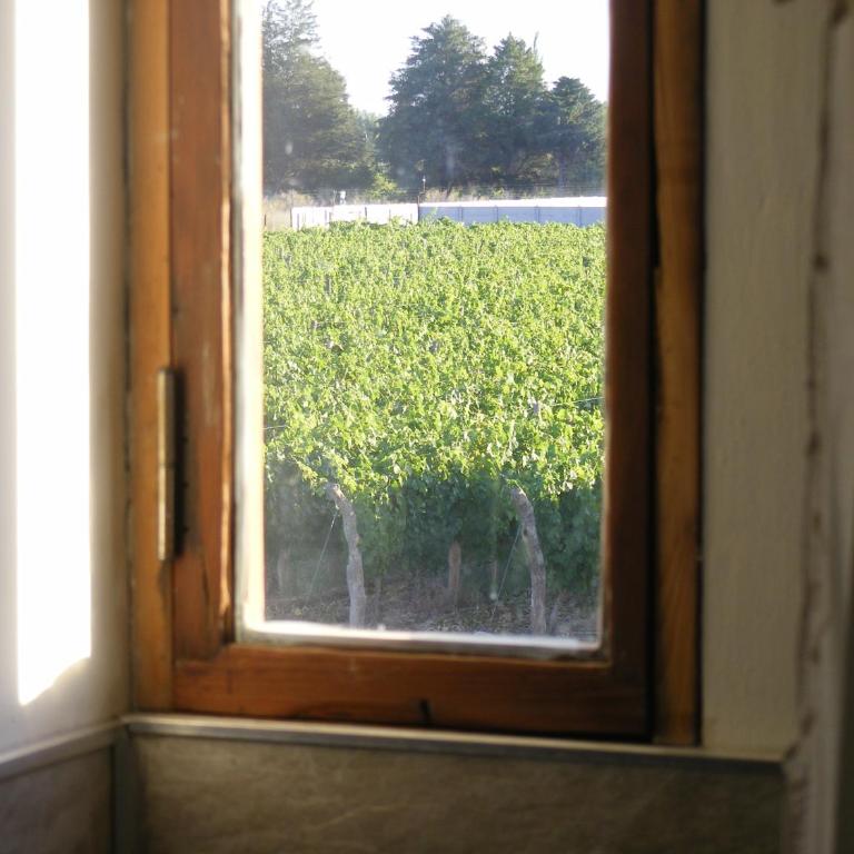 Finca Bravi - Habitación Doble - 2 camas - 20