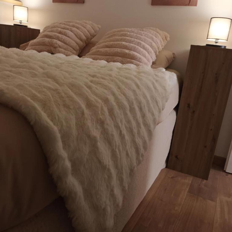 Chalet Barbarine-St Martin de Belleville- au coeur des 3 Vallées - Appartement 1 Chambre - 11