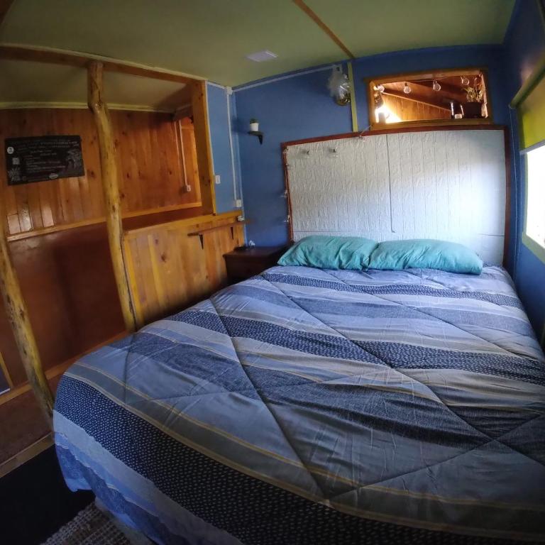 Cabahostel Los Pinos 2 - One-Bedroom Apartment - 4