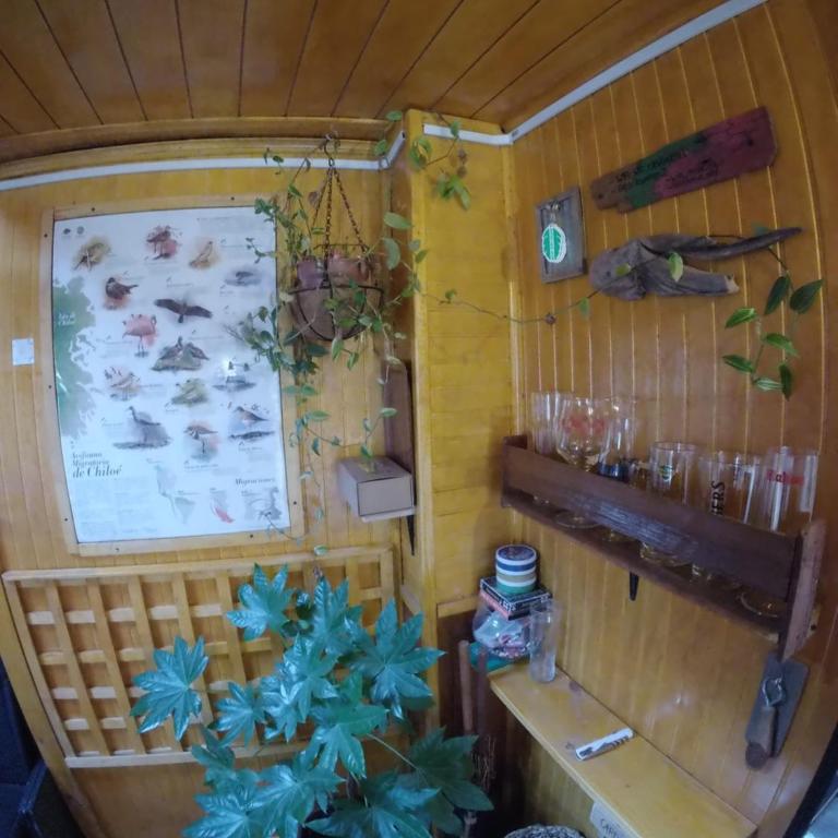 Cabahostel Los Pinos 2 - One-Bedroom Apartment - 10