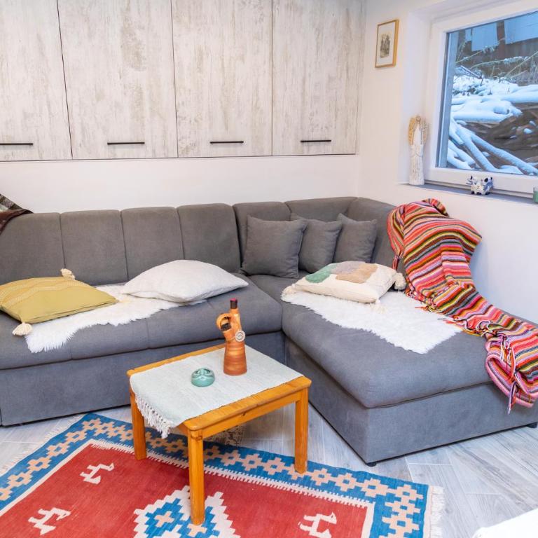 Praška zima - Apartman sa 2 Spavaće Sobe - 13