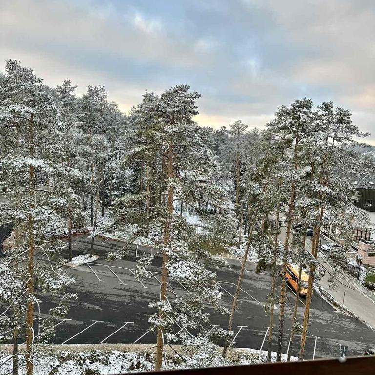 Zlatibor Deluxe Suites with Spa and Fitness - One-Bedroom Apartment - 4