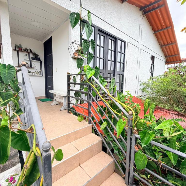 Recuerdo Verde - Casa de 2 dormitorios - 6