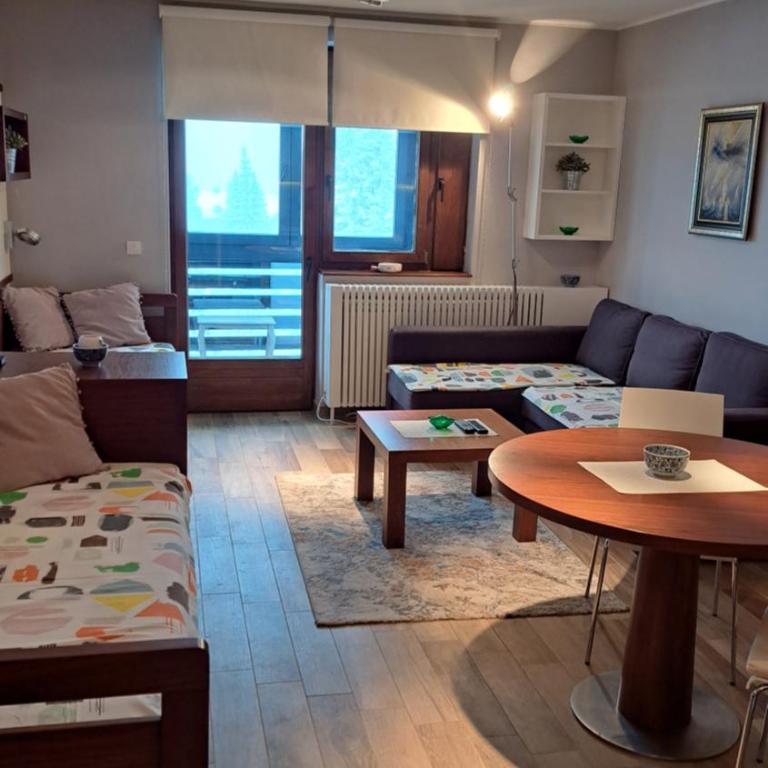 Apartman Bjanka 308 - One-Bedroom Apartment - 1