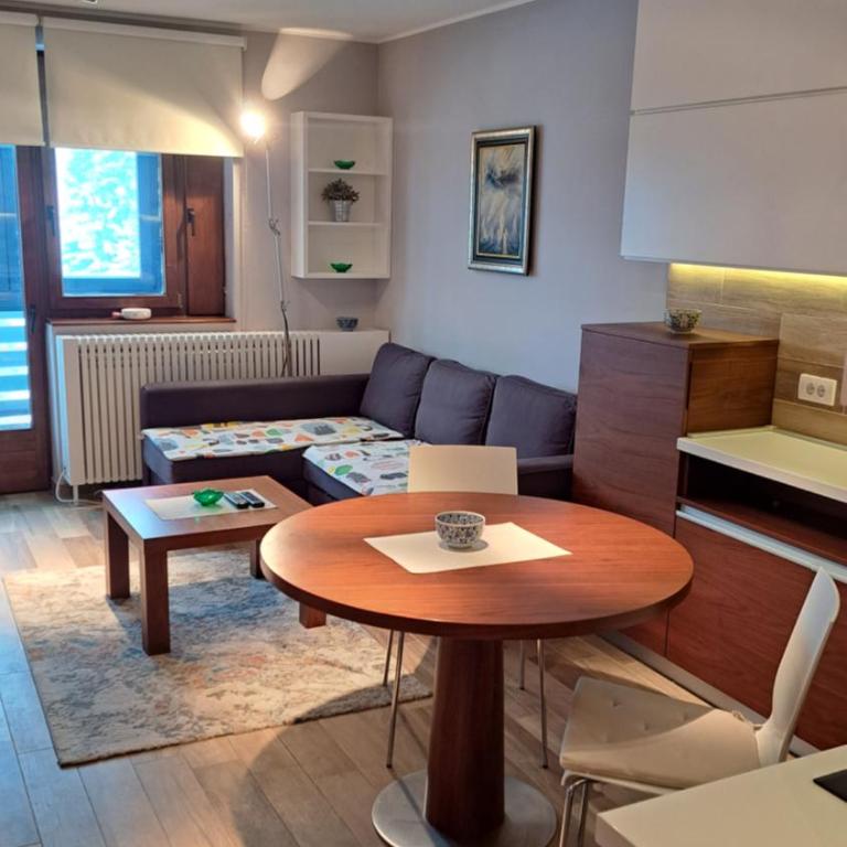 Apartman Bjanka 308 - One-Bedroom Apartment - 4