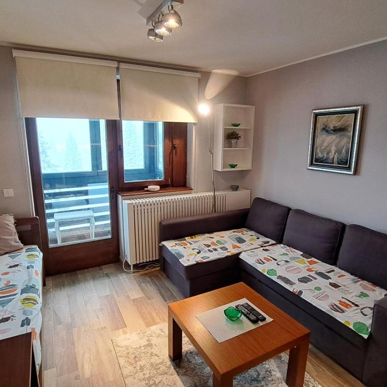 Apartman Bjanka 308 - One-Bedroom Apartment - 7