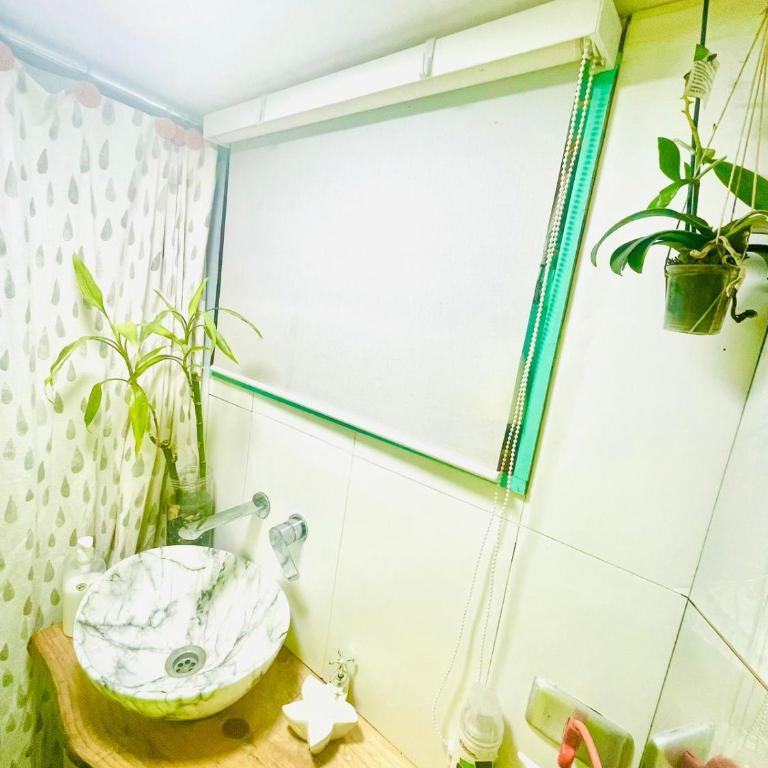 tiny house frente al mar - Casa Móvil - 19