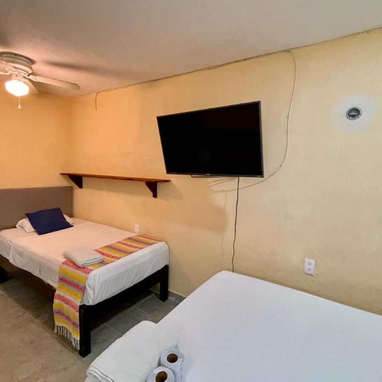 Downtown private Apartment wkitchen Isla Mujeres - One-Bedroom Apartment - 10