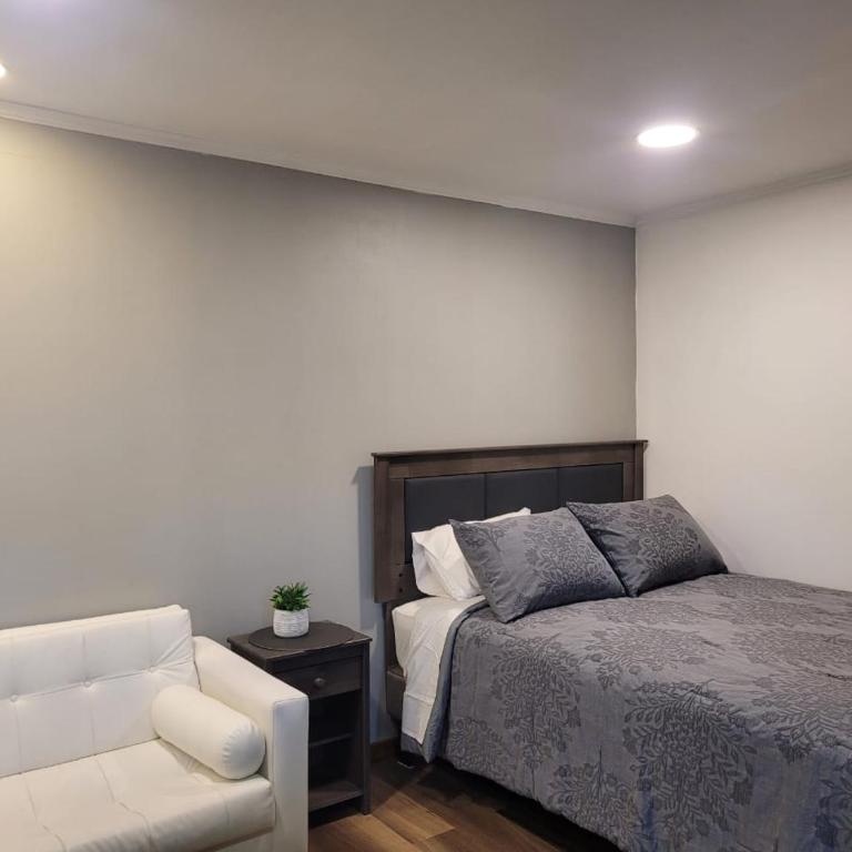 PEWMA Departamento - One-Bedroom Apartment - 10