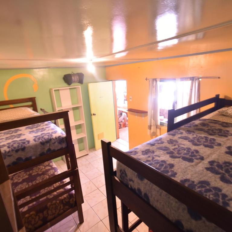 La Casa EcoExplor - 4-Bed Mixed Dormitory Room - 7
