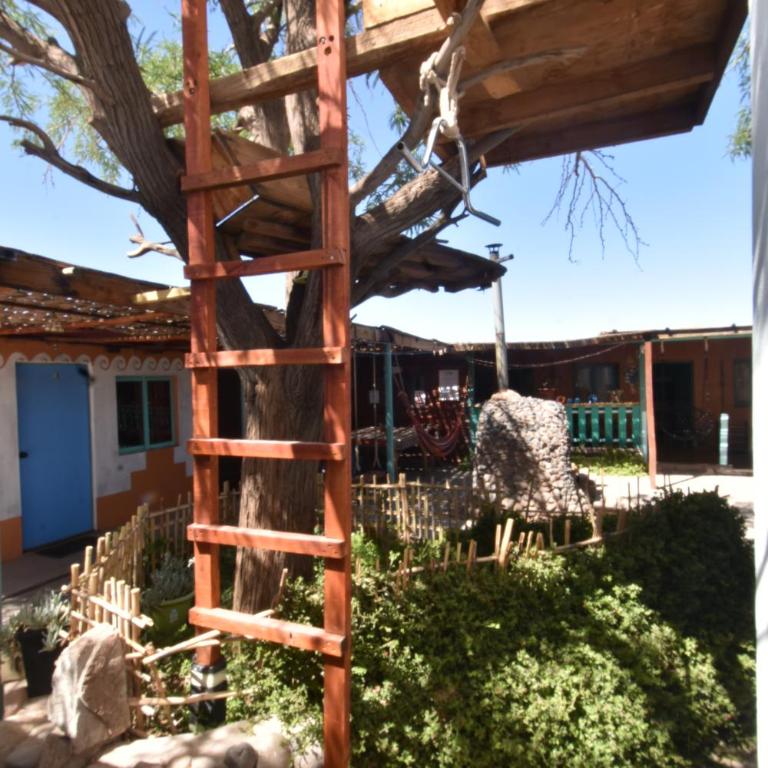 La Casa EcoExplor - Economy Double Room - 10