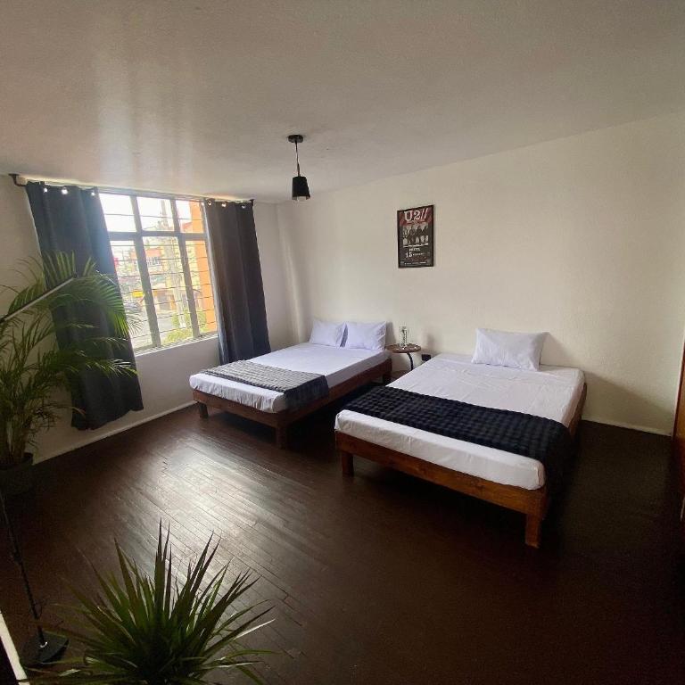 Music Guest House - Standard Triple Room - 20