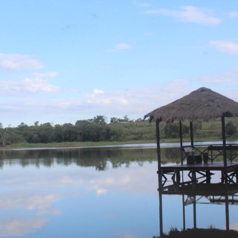 Glamping Guavirá - One-Bedroom House - 12