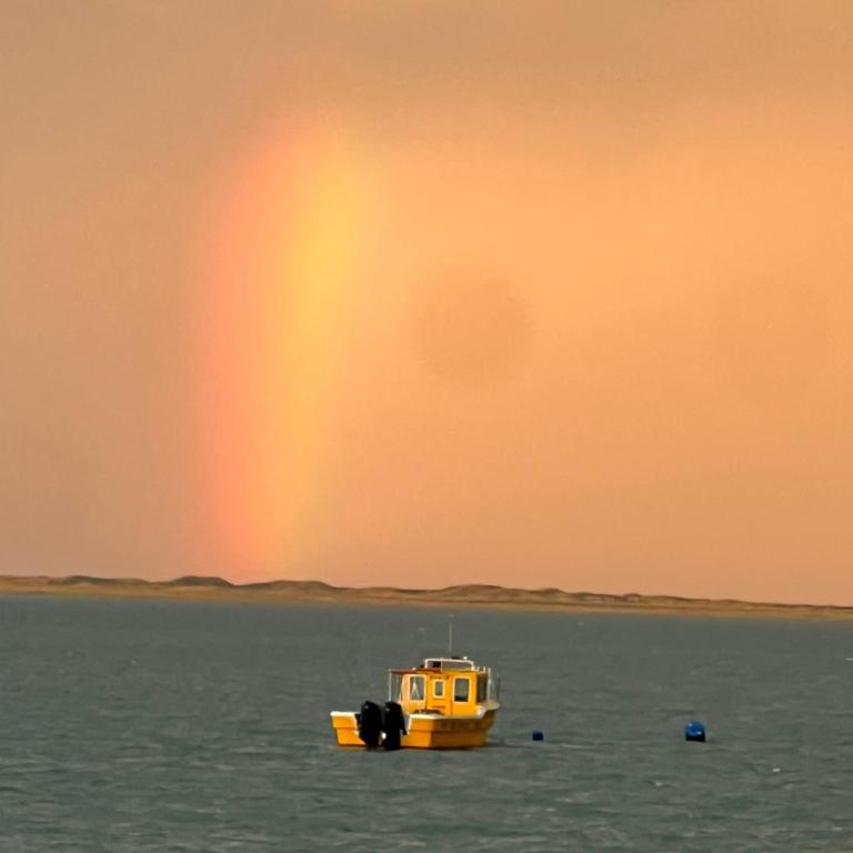 Complejo Marcelo - Apartamento de 1 dormitorio - 6