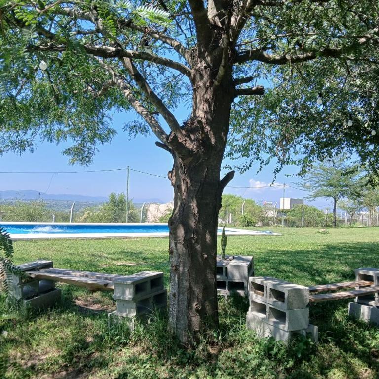 cabaña Mirador - Two-Bedroom Apartment - 7
