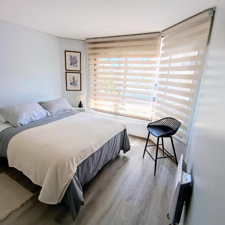 Apartment in the best location in Providencia - One-Bedroom Apartment - 10