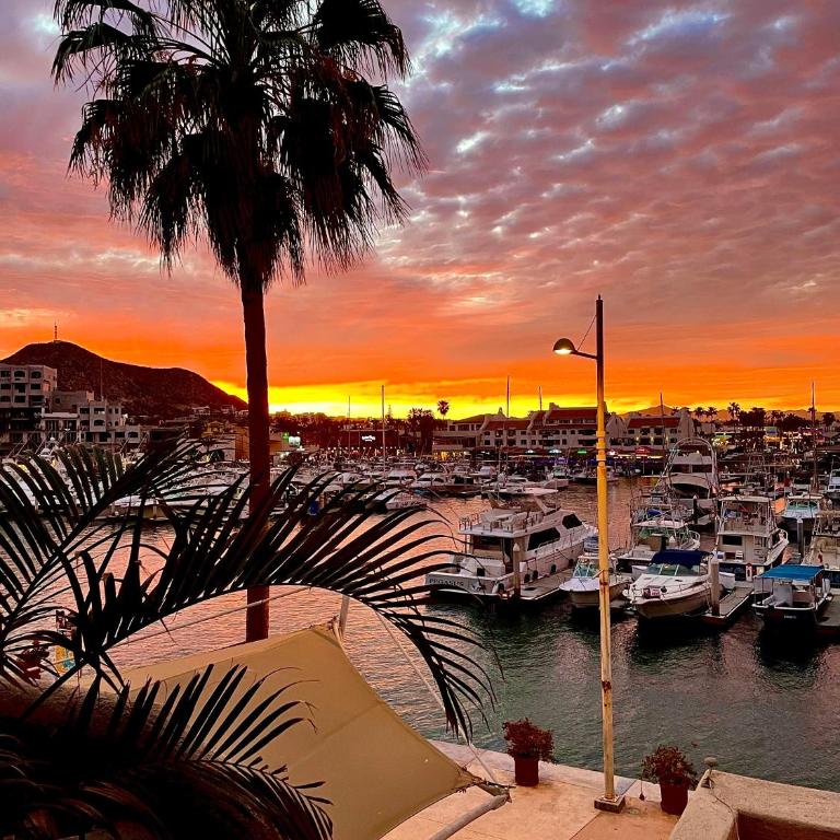 Marina Cabo Plaza "Casa Pura Vida" 108A - Apartamento de 1 dormitorio - 1