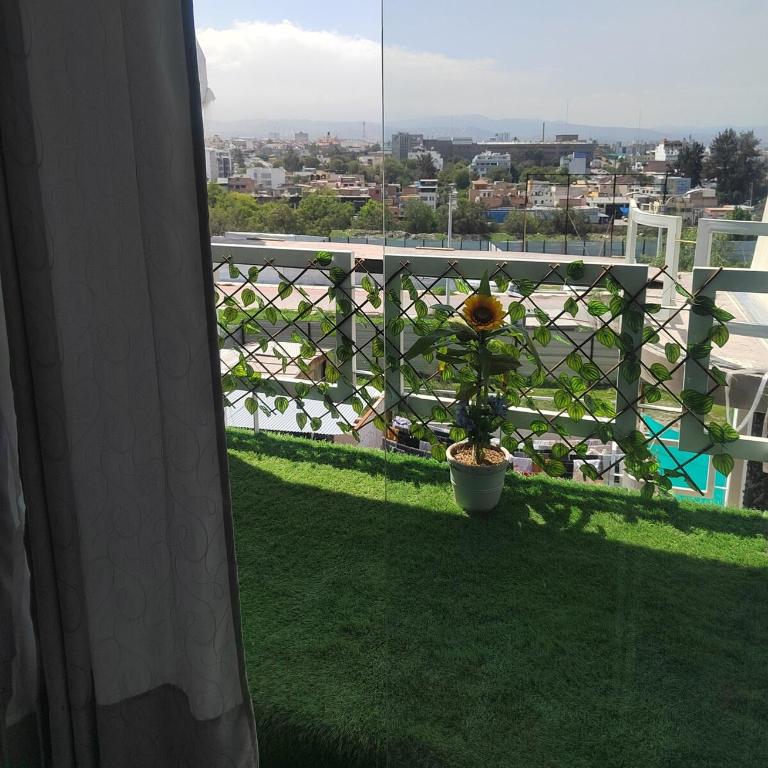 Estudio Funcional con Cama Queen, Cocina y Terraza - Apartamento de 1 dormitorio - 3
