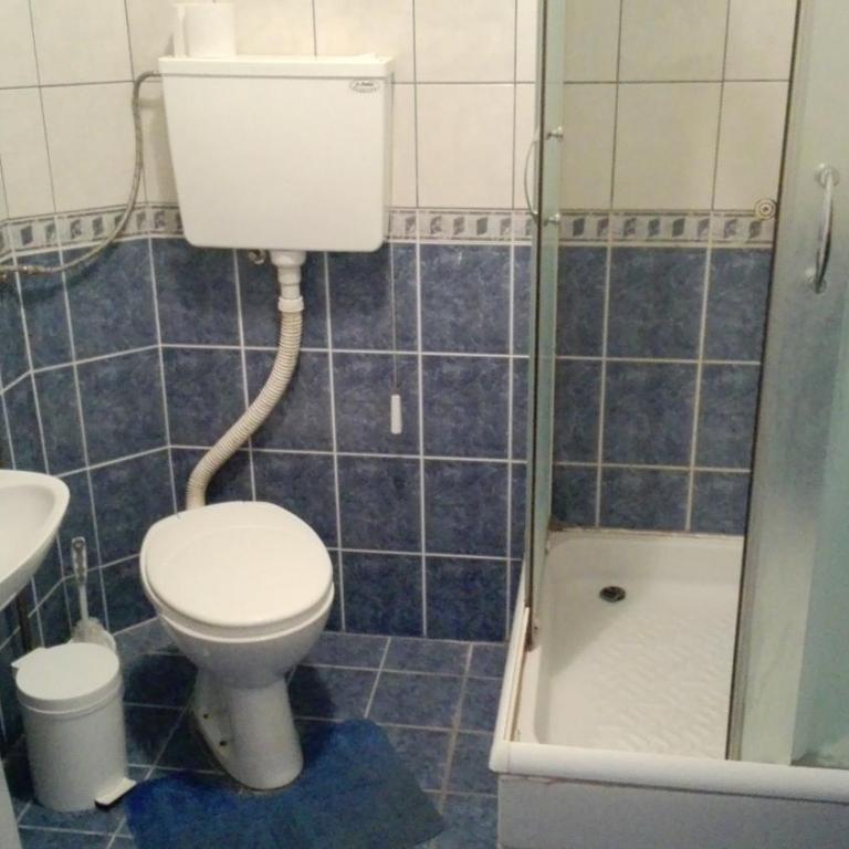 Guest House Trajkovic Jagodina - Studio Apartman - 3