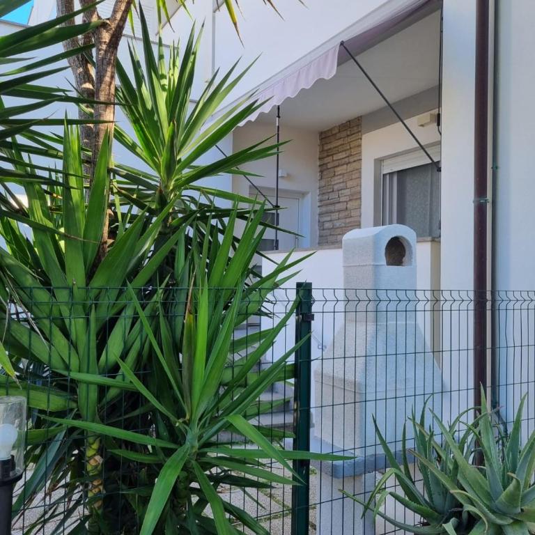 Lecci al Mare - Appartamento con 2 Camere da Letto - 2