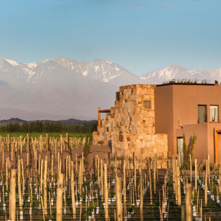 Rosell Boher Winery Lodge & Spa - Villa Deluxe - 19