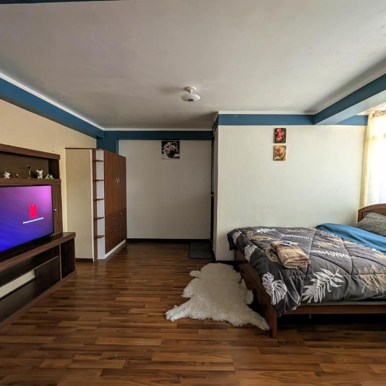 MONOAMBIENTE Sicuani - Estudio Estándar - 2