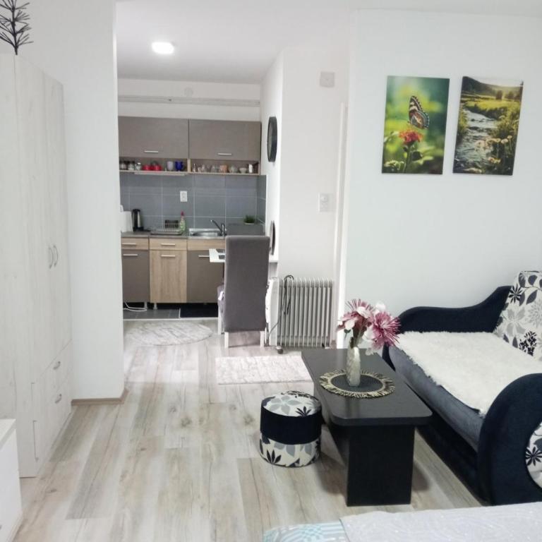 Apartmani Nana - Apartman sa 1 Spavaćom Sobom - 6