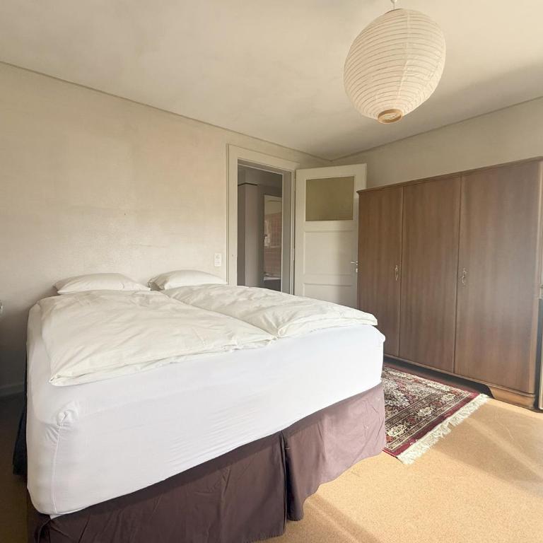 Chalet Julie in Villars-sur-Ollon - Chalet - 35