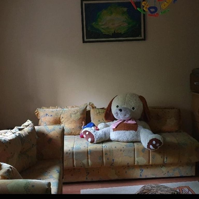 Ekskluzivna vila - Deluks Vila - 16