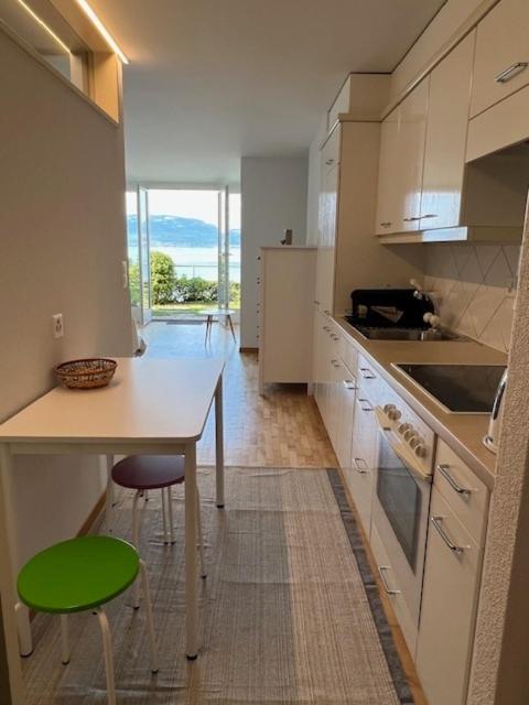 Studio avec accès direct au lac de Geneve - Appartement 1 Chambre - 8