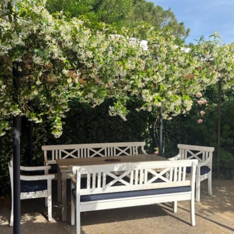 La Maison Rose - Maison de Vacances - 14