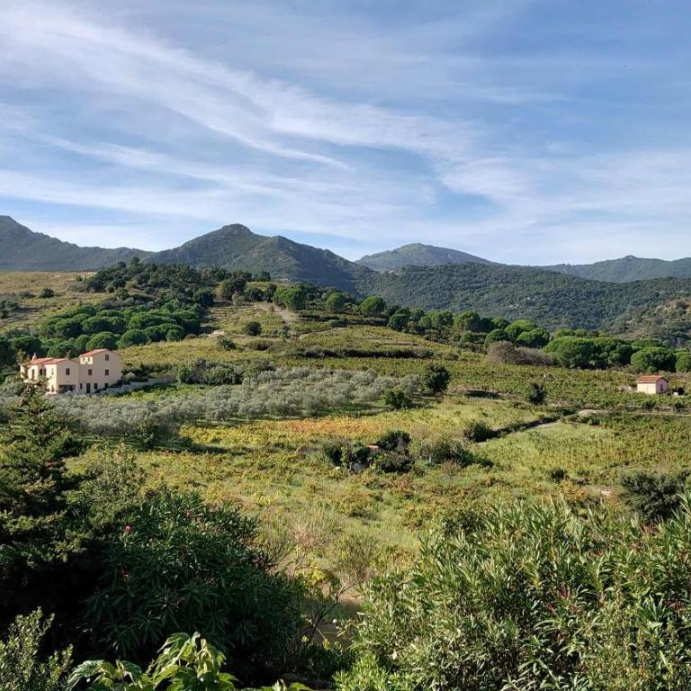 4SOM5- Appartement T2 avec jolie vue sur les collines - Appartement 1 Chambre avec Terrasse - 13