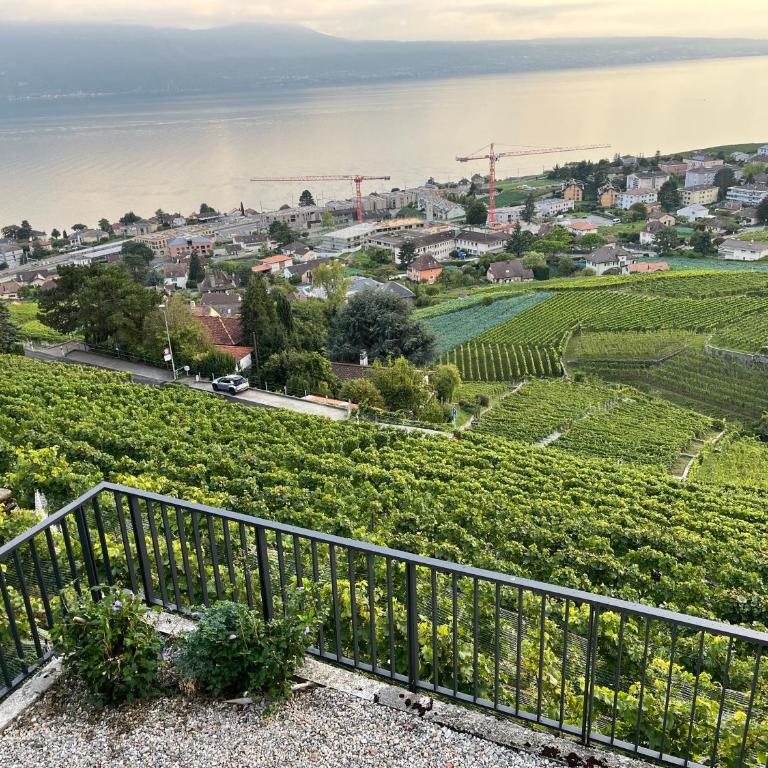 Renovated APT with panoramic view - Deluxe Apartment mit 2 Schlafzimmern und Gartenblick - 25